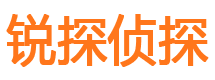 辽中市侦探调查公司